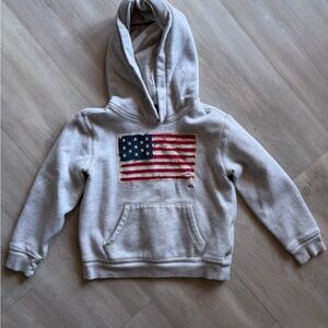 Polo by Ralph Lauren Light Gray Hoodie with American Flag
